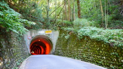 tube