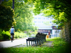 夏〜のベンチは