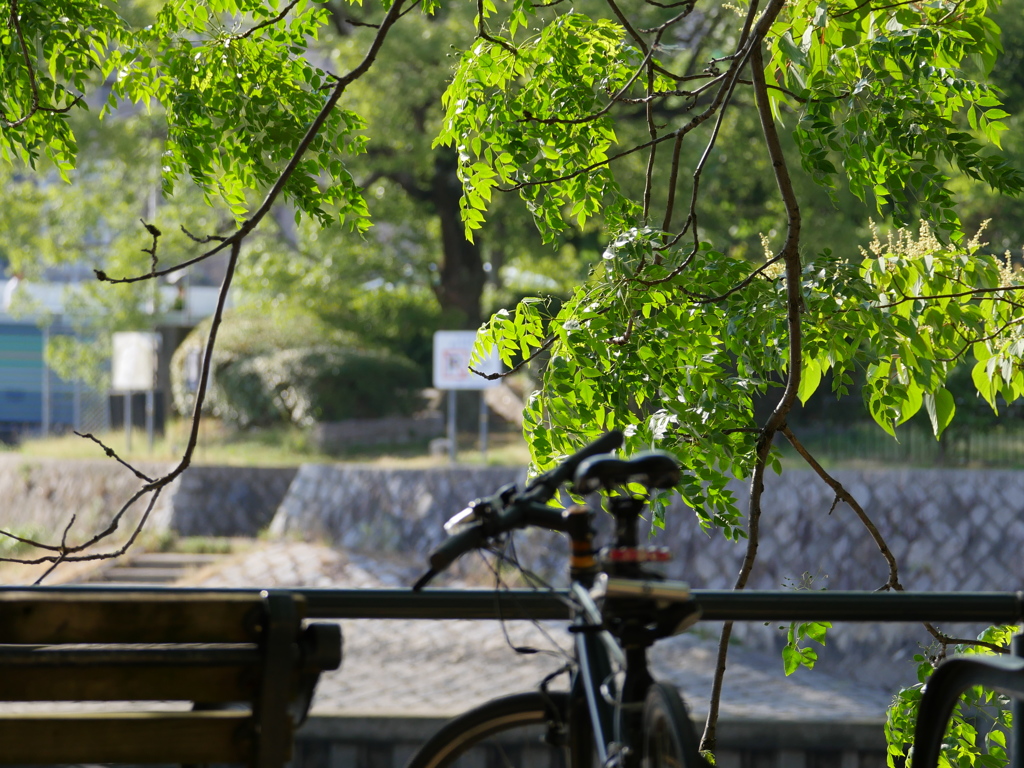 ちょっと、、ひと息。