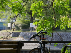 ちょっと、、ひと息。