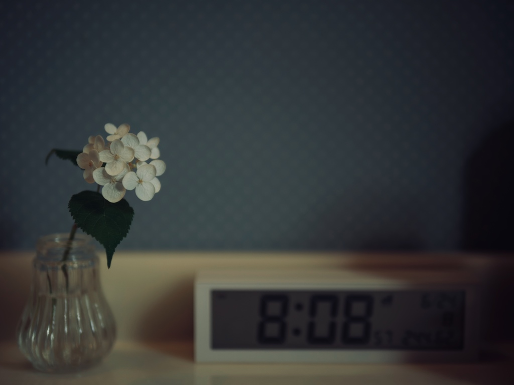 暮らしに花を。