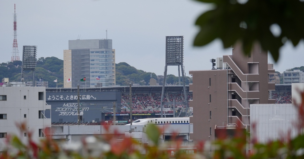 baseball stadium