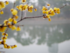 やわら〜い雨と粒