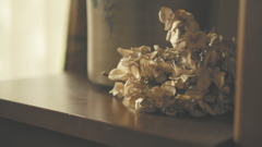 dried flower