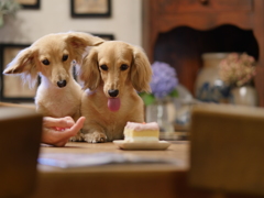 お誕生日ケーキ