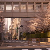 女学院