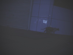 生きる道