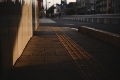 こんな毎日でも