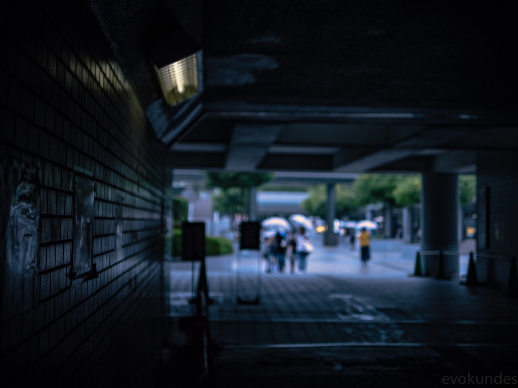 彩雨