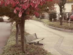 秋のベンチで