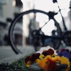 花ぐるま