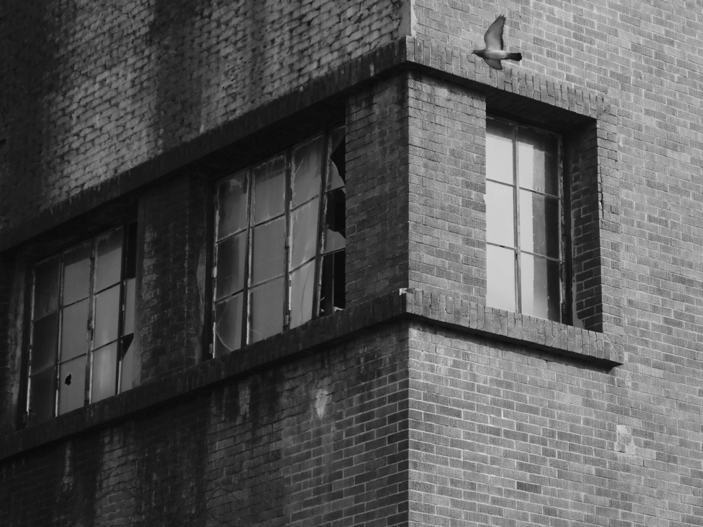 味がある廃墟、謎