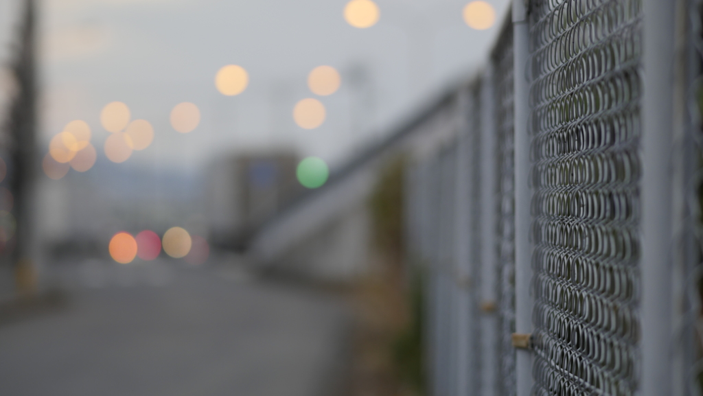 冷えてるフェンス