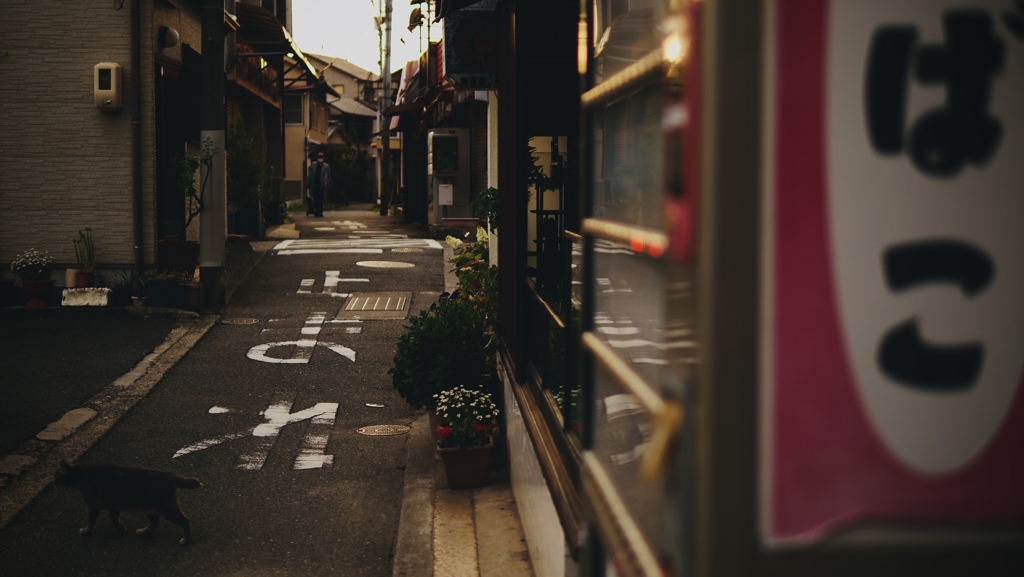 たばこ屋の猫