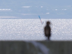 静かな海