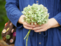 自然の贈り物