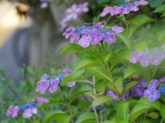 お互い様ですよ