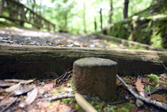 成田山公園②