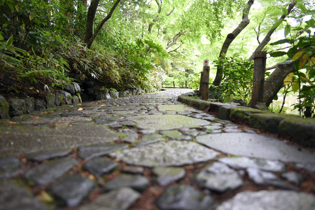 成田山公園③