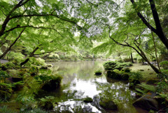 成田山公園④