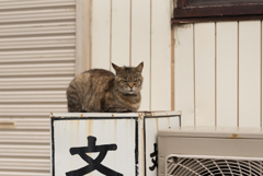 にらみつける攻撃