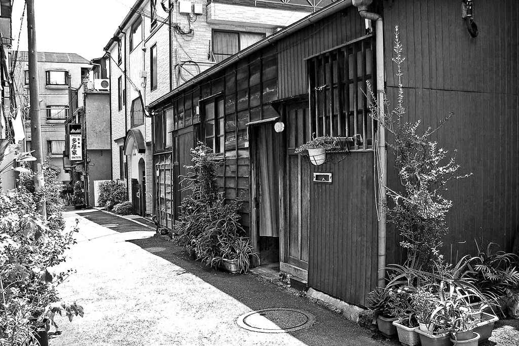昭和の残像133 木造家屋 西荻 杉並区 2008年6月