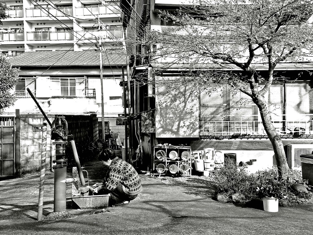 昭和の残像28 常立寺前の井戸 原町 新宿区 2009年12月