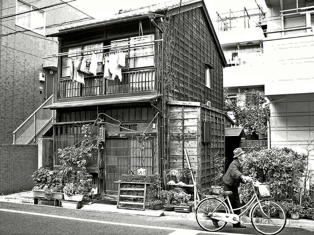 昭和の残像84 洗濯物 池之端 台東区 2007年11月