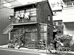 昭和の残像84 洗濯物 池之端 台東区 2007年11月