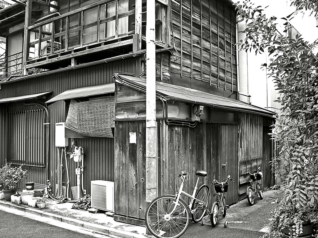 昭和の残像85 木造の家 池之端四丁目 台東区 2007年11月