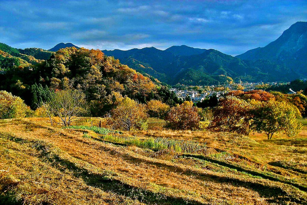 「寺坂棚田」　横瀬町 秩父郡 埼玉県　2003年11月