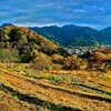 「寺坂棚田」　横瀬町 秩父郡 埼玉県　2003年11月