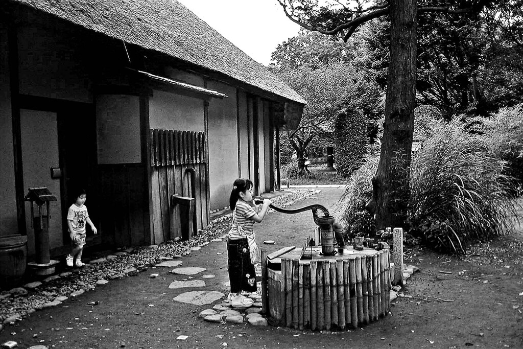 昭和の残像157 農家井戸 江戸東京たてもの園 小金井市 2003年8月