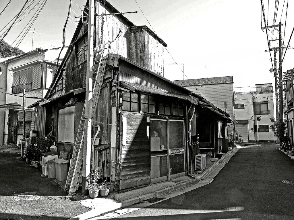 昭和の残像95 木とﾄﾀﾝの家 京島 墨田区 2009年1月