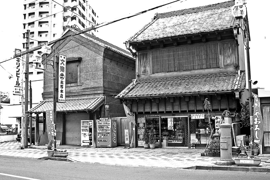 昭和の残像169 古商家 鳩ヶ谷界隈 埼玉県 2008年1月