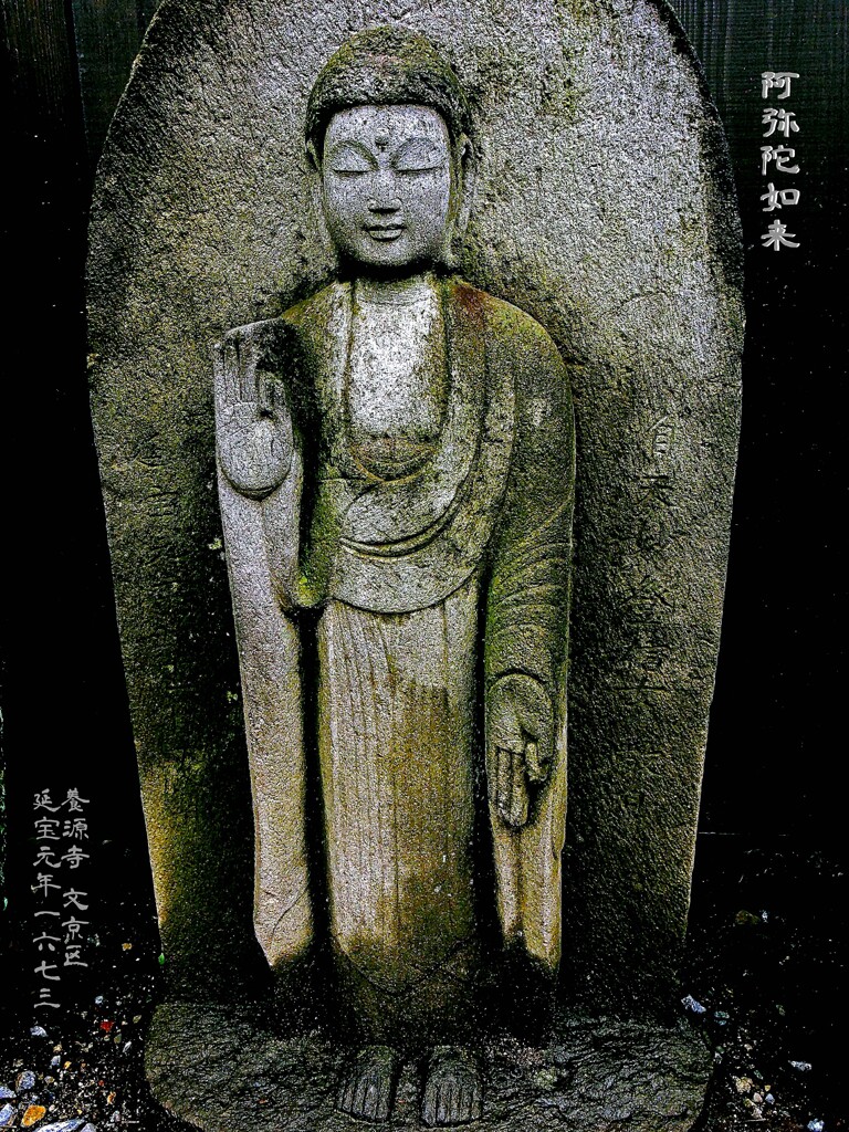 阿弥陀如来　延宝元年1673 養源寺 文京区