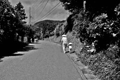 昭和の残像163 巡礼散歩 日向薬師近く 伊勢原市 2004年9月