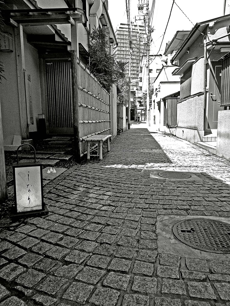 昭和の残像32 かれんぼ横丁石畳 神楽坂 新宿区 2009年4月