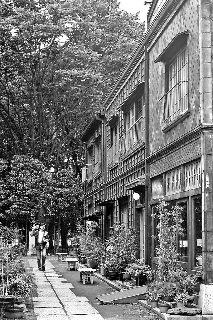 昭和の残像149 路地 江戸東京たてもの園 小金井市 2003年8月