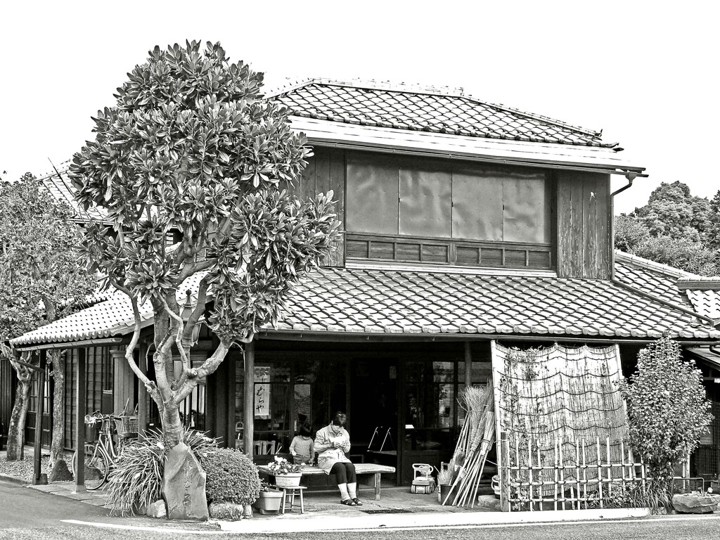 昭和の残像74 「花屋藤村」母と子 谷中七丁目 台東区 2010年10月