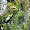如意輪観音　天和2年1682 観泉寺 杉並区