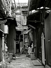 昭和の残像4 「路地奥壊れかけ木造家屋」勝鬨 中央区 2008年9月