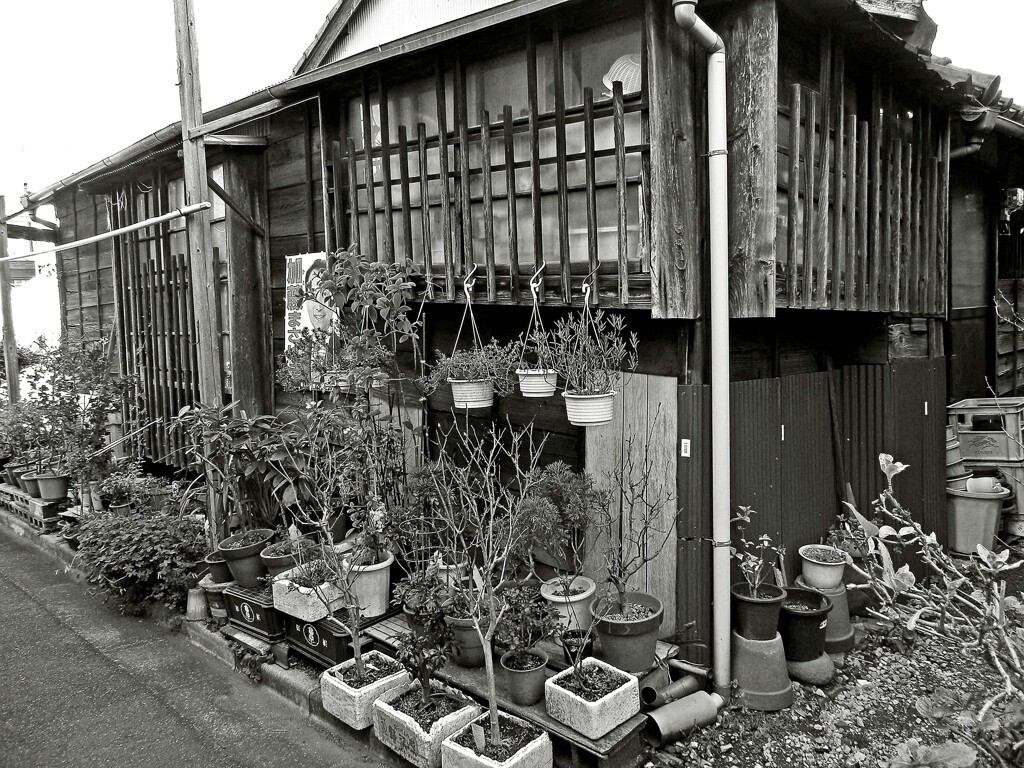 昭和の残像96 木の桟 京島 墨田区 2009年1月