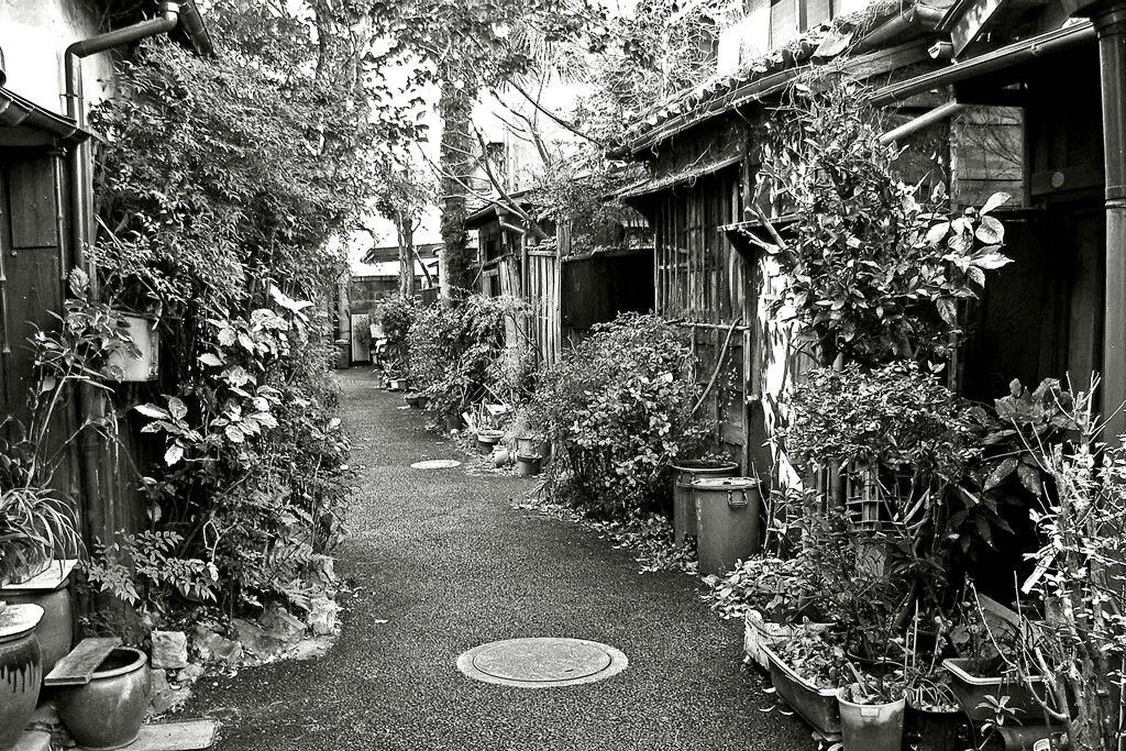 昭和の残像77 路地 谷中 台東区 2008年1月