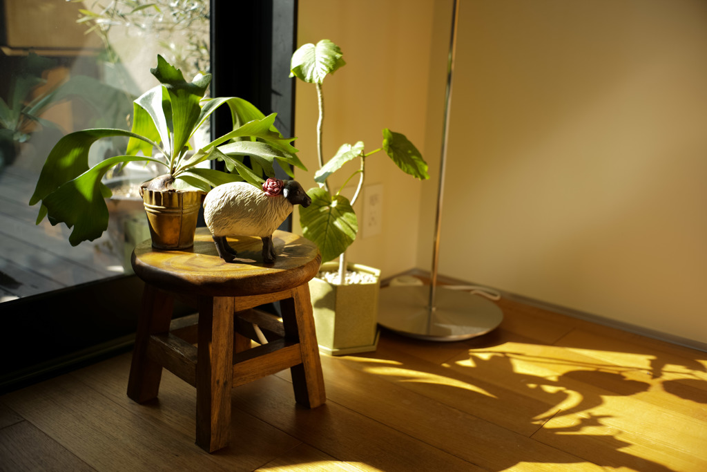 ズミルックス 1st f2.8