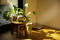 ズミルックス 1st f2.8