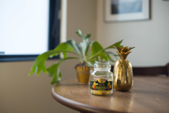 ズマリット　試写