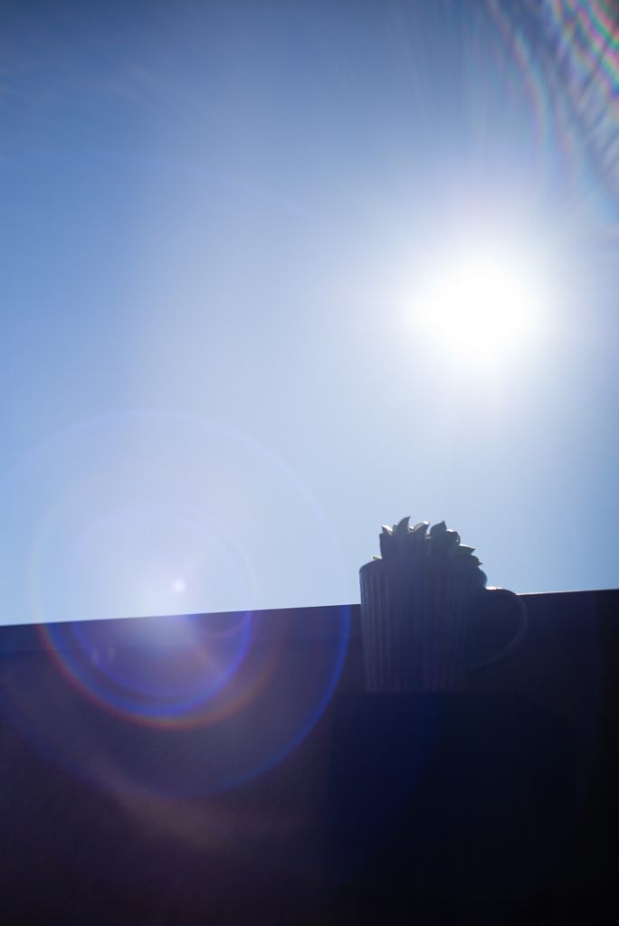 ズマロン2.8 試写