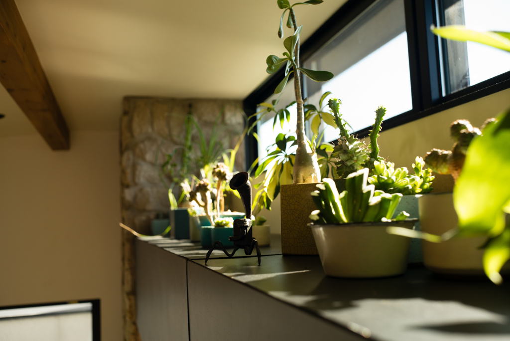 ズマロン2.8 試写