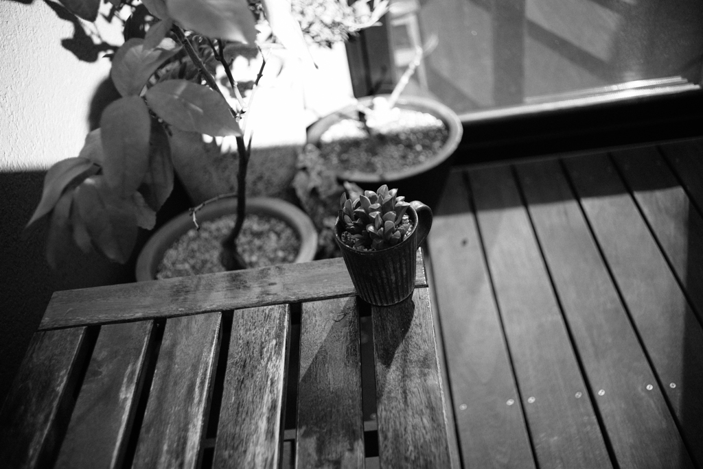 ズマロン2.8 試写、モノクロ現像